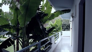 A corridor with a metal railing, surrounded by large banana plants. - Elga Hotel (Kos)