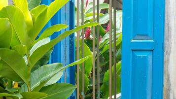 A window with blue shutters, surrounded by green foliage.