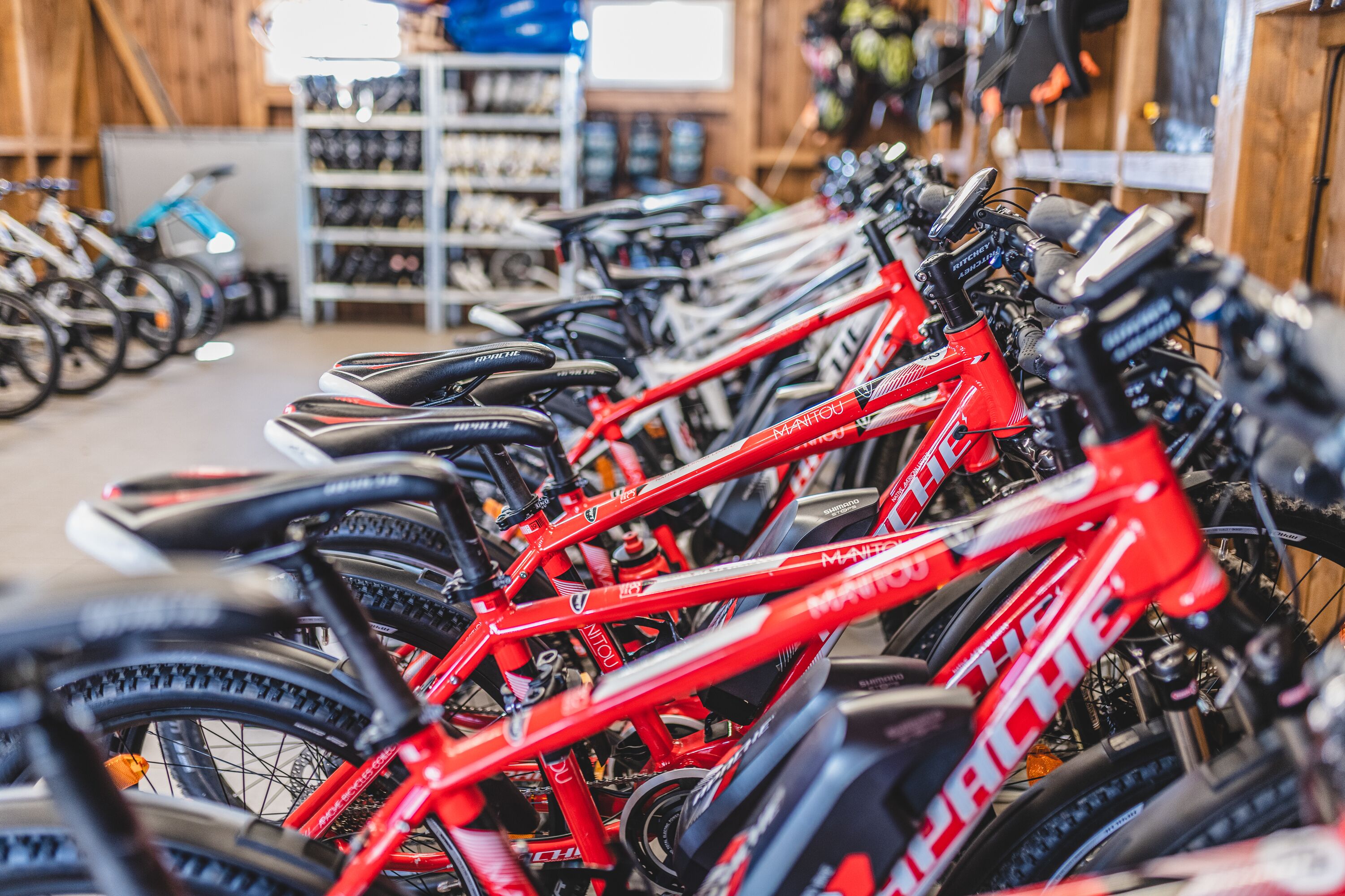 A row of red bicycles in a store with shelves of shoes in the background.