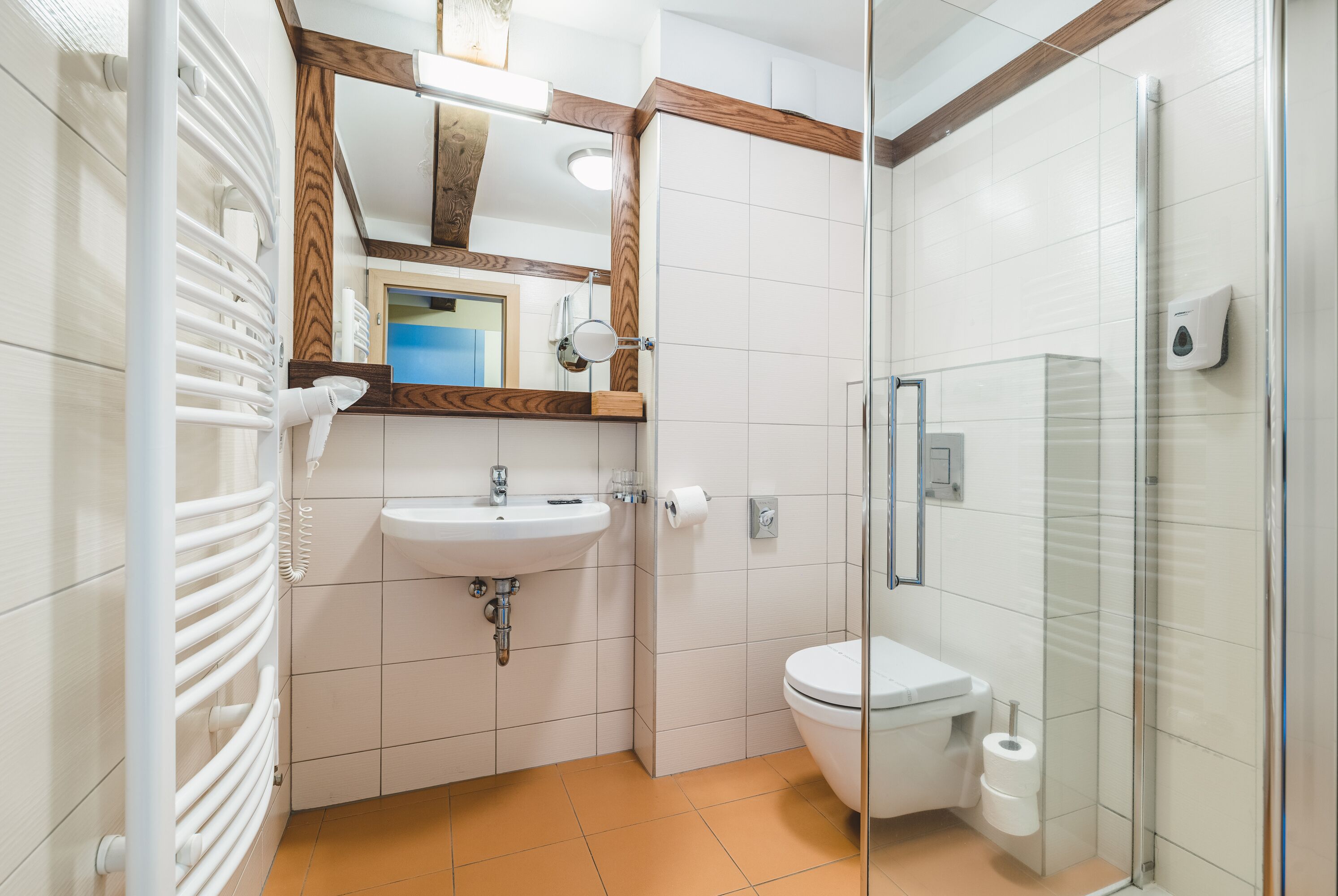 A modern bathroom with a glass shower enclosure, a white sink, and a toilet.