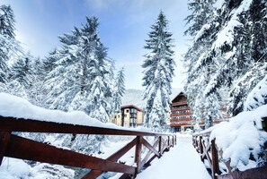 Un pont en bois recouvert de neige mène à un bâtiment entouré d’arbres chargés de neige.