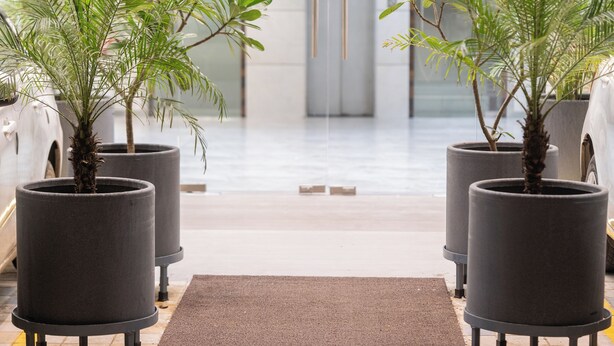 Plantas em vasos em ambiente interno moderno, com piso revestido de azulejos e paleta de cores neutras.
