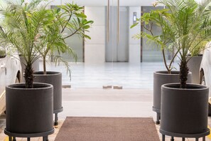 Entrada de la propiedad