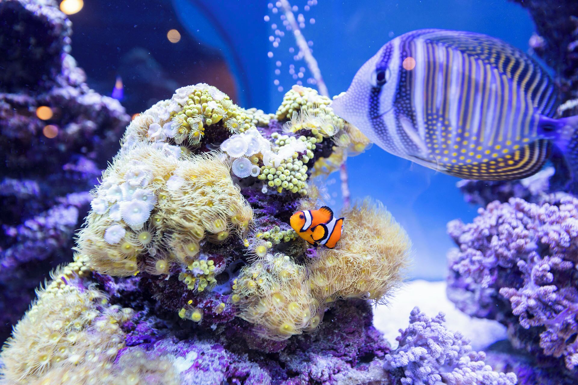 children’s activities