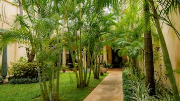 Entrada interior