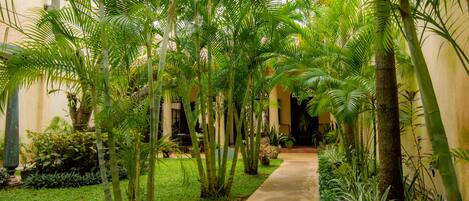A pathway flanked by lush greenery and tall palm trees, leading to a building with a light-colored facade.