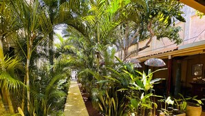 A covered walkway lined with various potted plants and a concrete path. - Mango House (Galle)