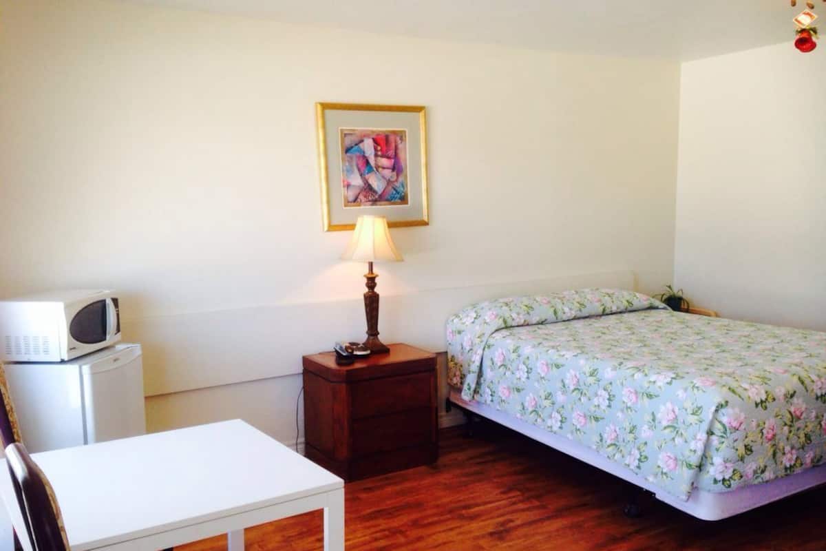 Standaard kamer, 1 queensize bed | Een bureau, een strijkplank/strijkijzer, extra bedden, gratis wifi