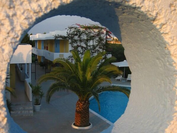 A pool area with a palm tree, a building with a white facade, and a blue pool.