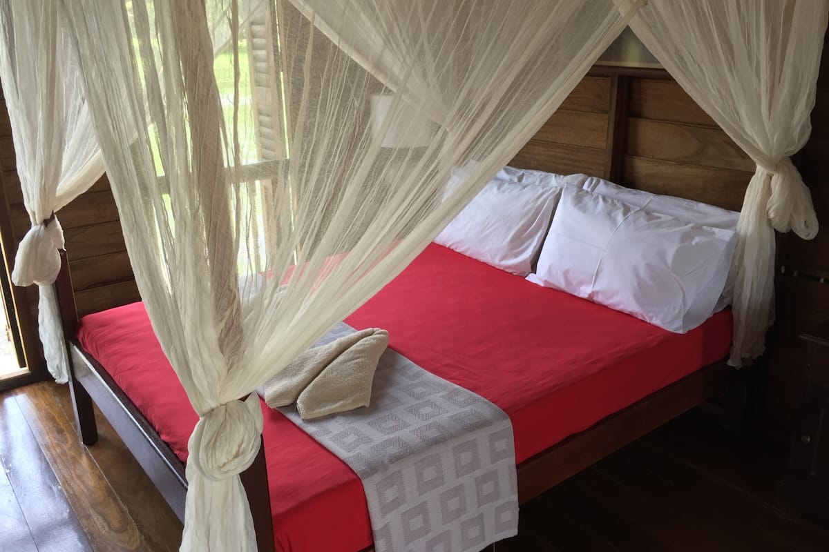 A bed with a red mattress and white pillows, covered by a white canopy.