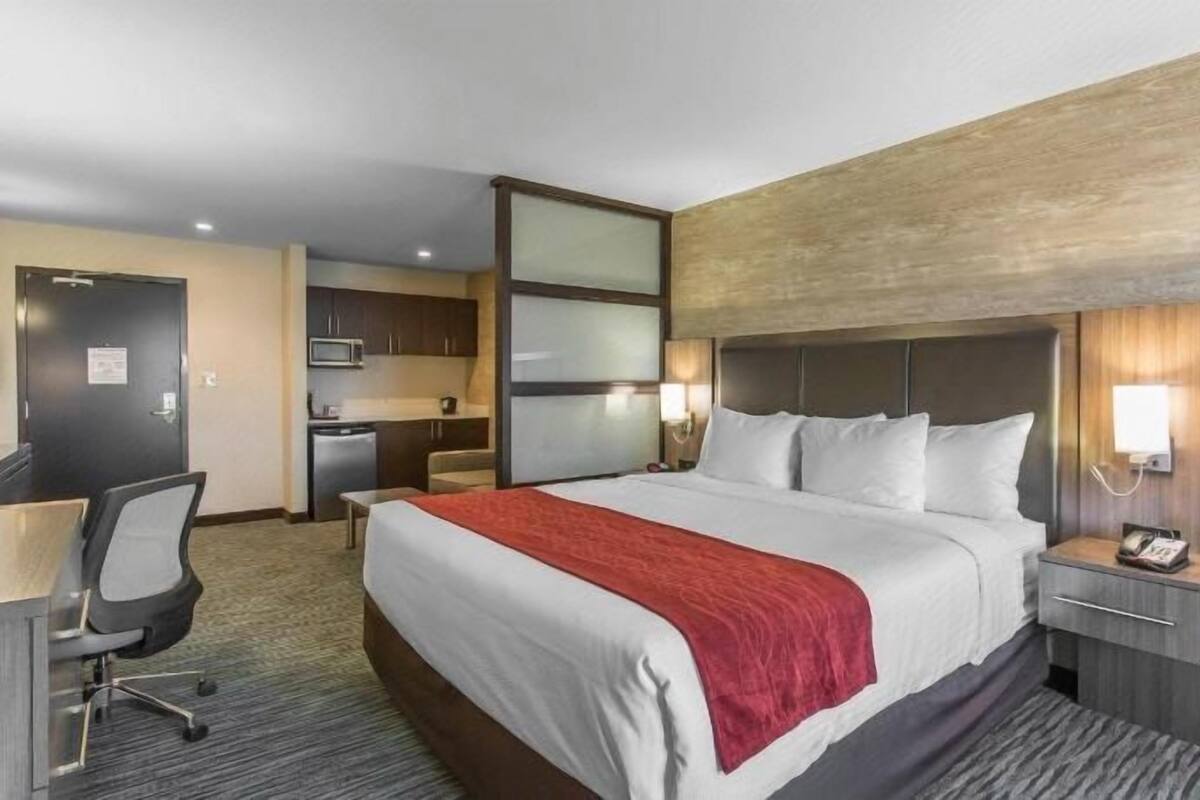 Premium bedding, in-room safe, desk, blackout curtains