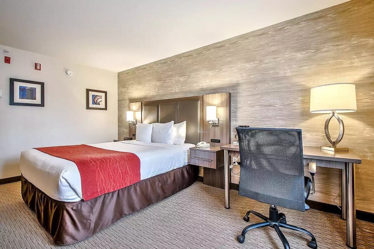 Habitación estándar, 1 cama King size | Ropa de cama de alta calidad y caja de seguridad en la habitación