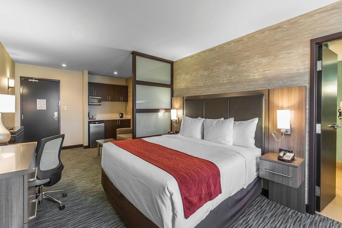 premium bedding, in-room safe, desk, blackout curtains