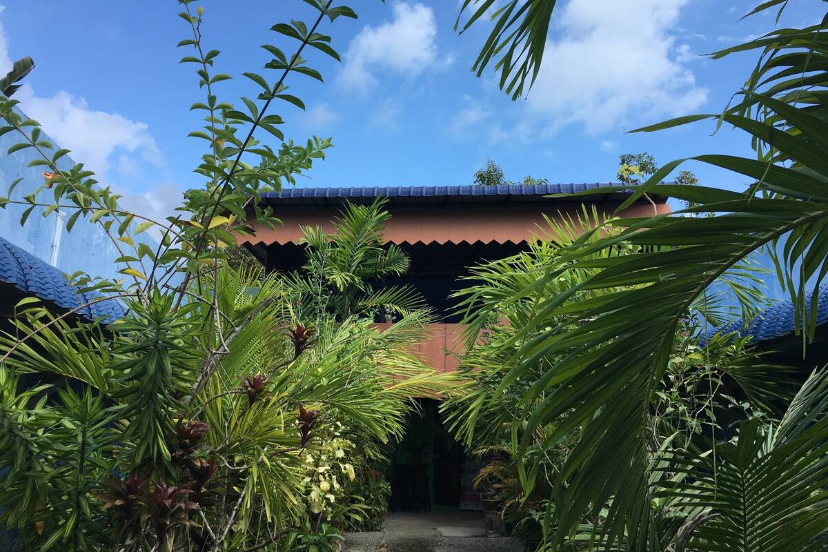 A pathway leading to a building with a corrugated metal roof, surrounded by lush tropical plants.