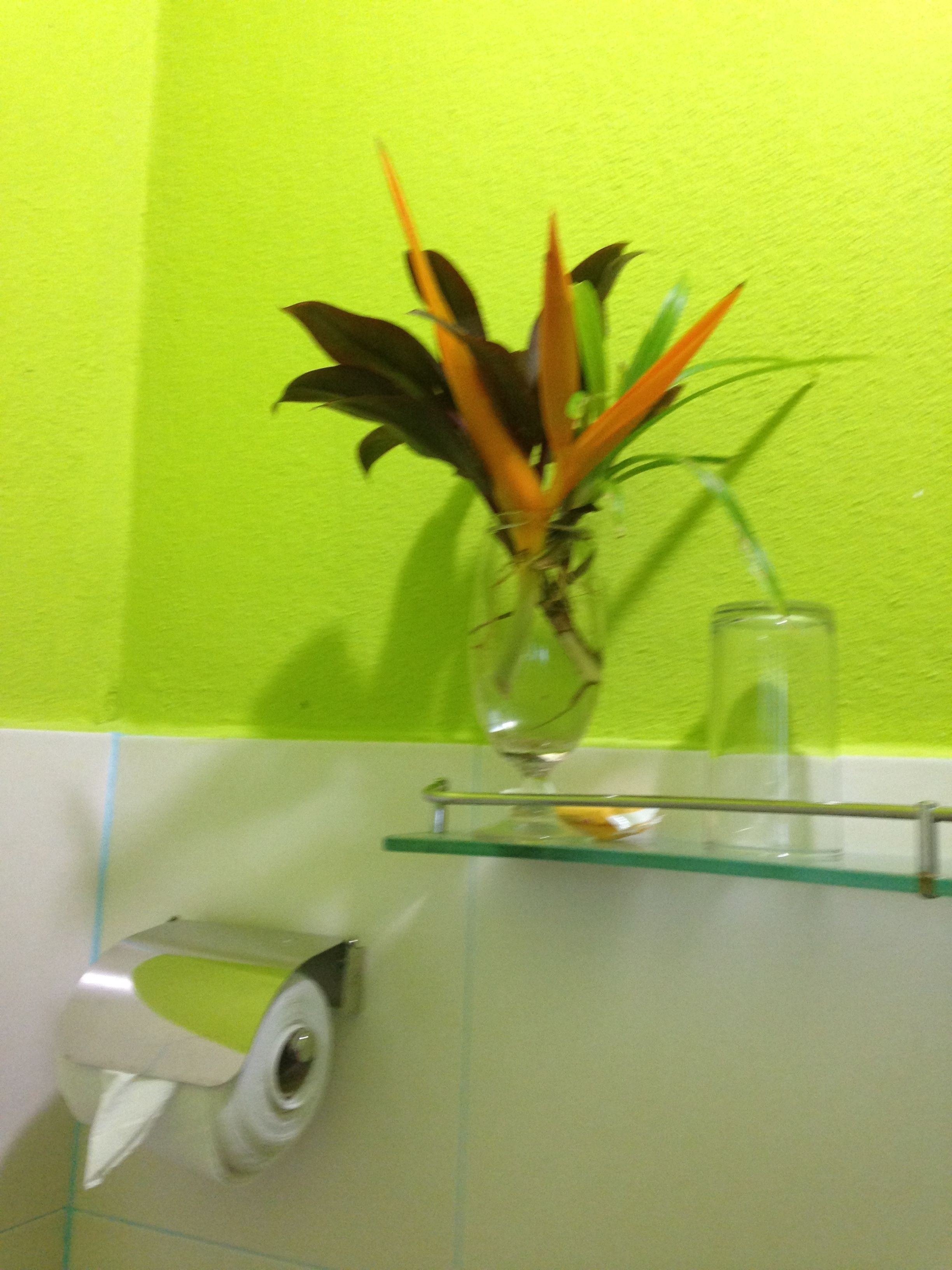 A bathroom with a green wall, a glass shelf holding a vase with a plant, and a toilet paper holder.