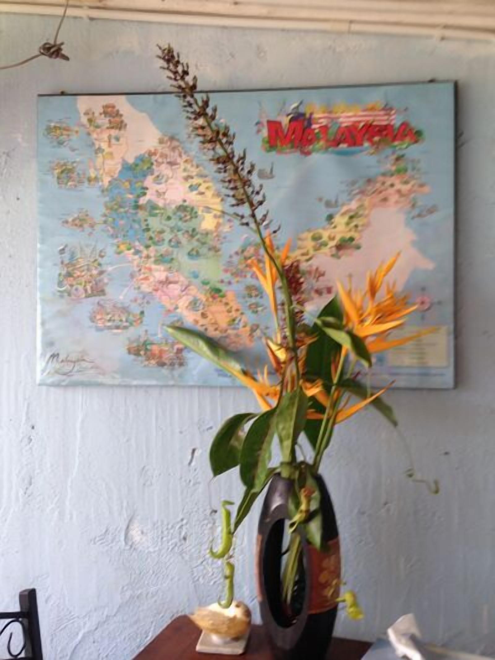 A map with a decorative plant in a vase on a table.