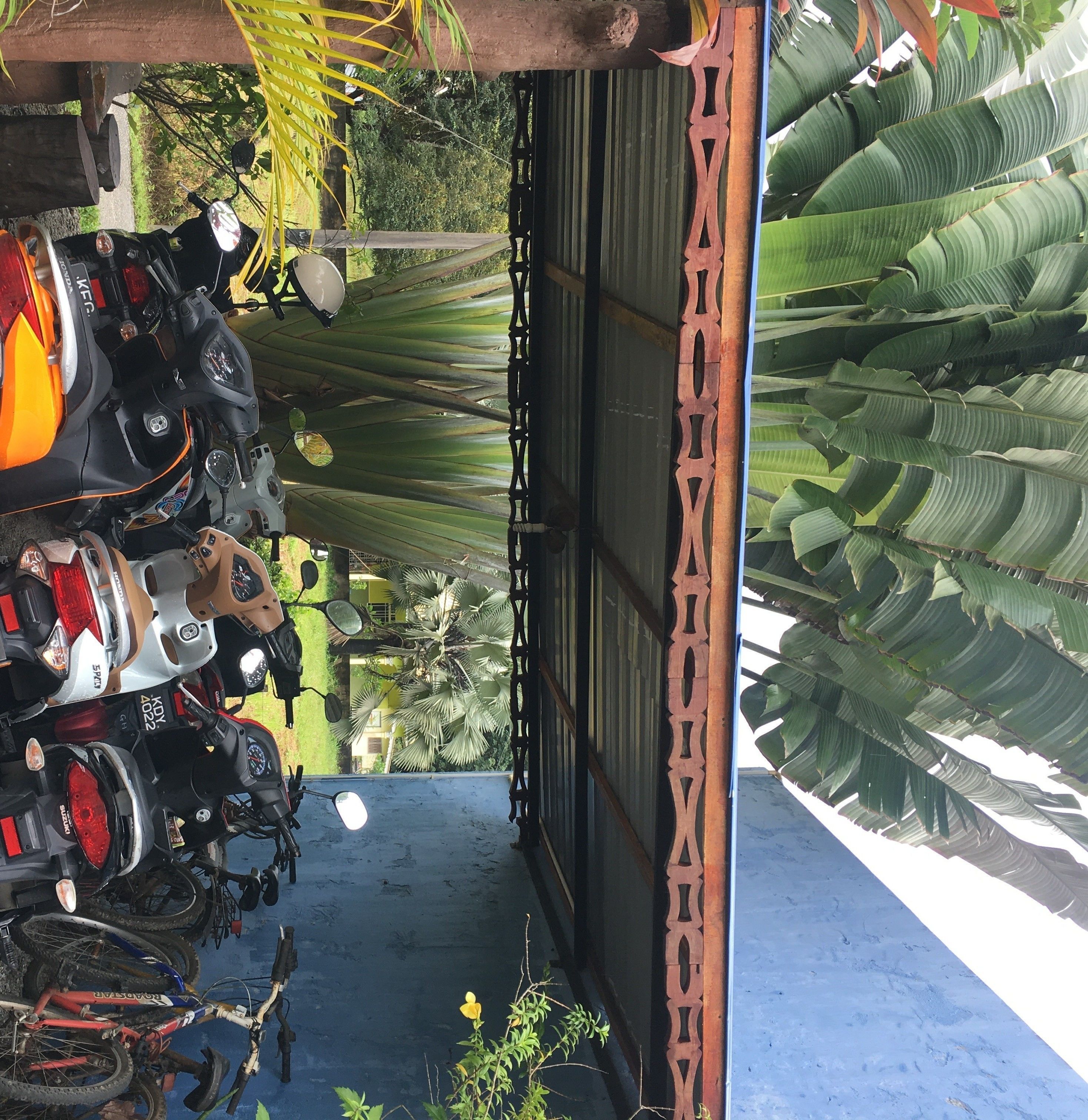 A covered outdoor area with multiple motorcycles parked under a wooden structure, surrounded by large green banana leaves.