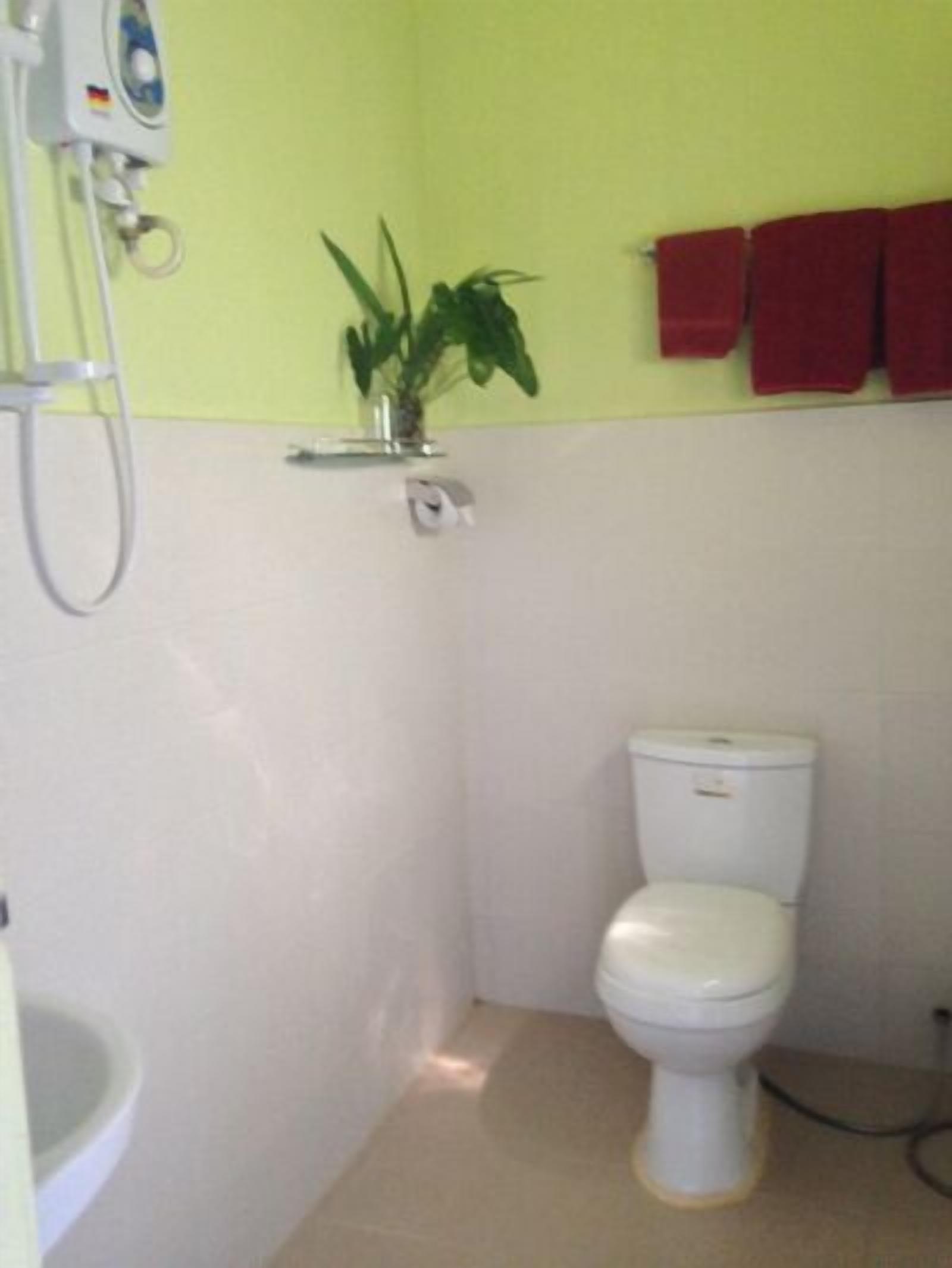 A small bathroom with a white toilet, a green wall, a plant, and a red towel rack.