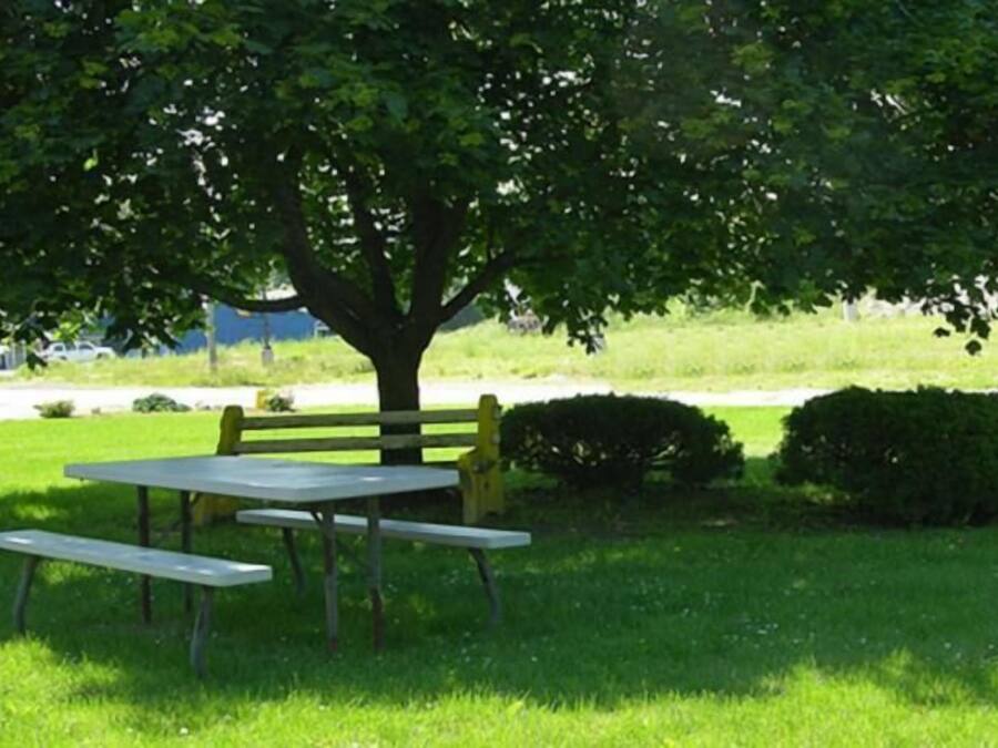 Una mesa de picnic y un banco bajo un árbol en un área con césped.