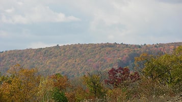 Eine hügelige Landschaft im Herbstlaub.