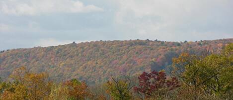 A hilly landscape with autumn foliage.