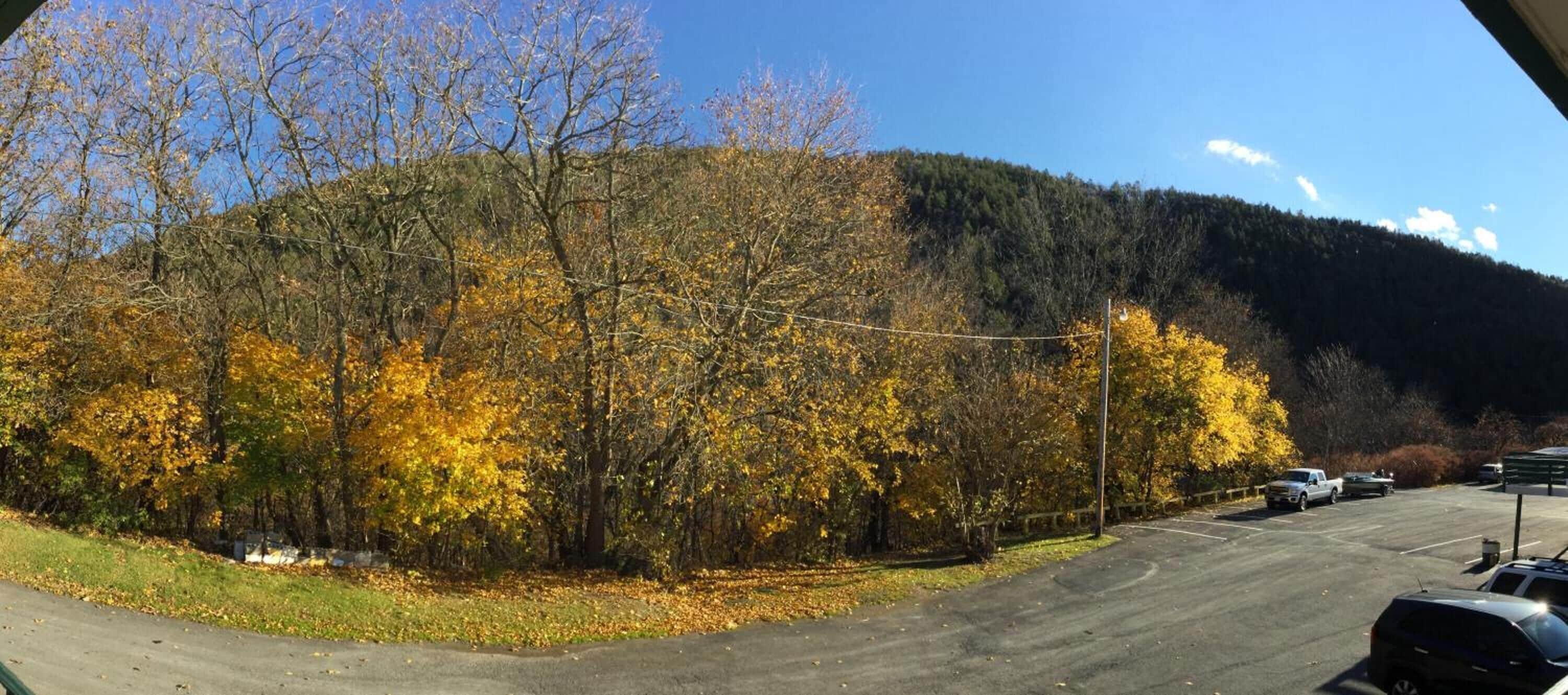 A parking lot with a mountain in the background.