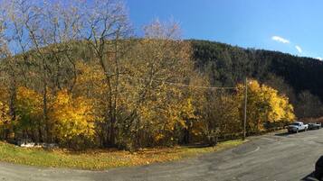 A parking lot with a mountain in the background.