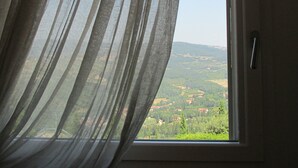 A window with sheer curtains, a view of a green landscape with trees and buildings.