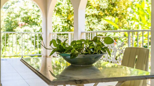 A glass table with a bowl of green plants in a covered outdoor area with white railings and a view of trees. - Les chambres d'hotes de la Villa Cayol (Fort-de-France)