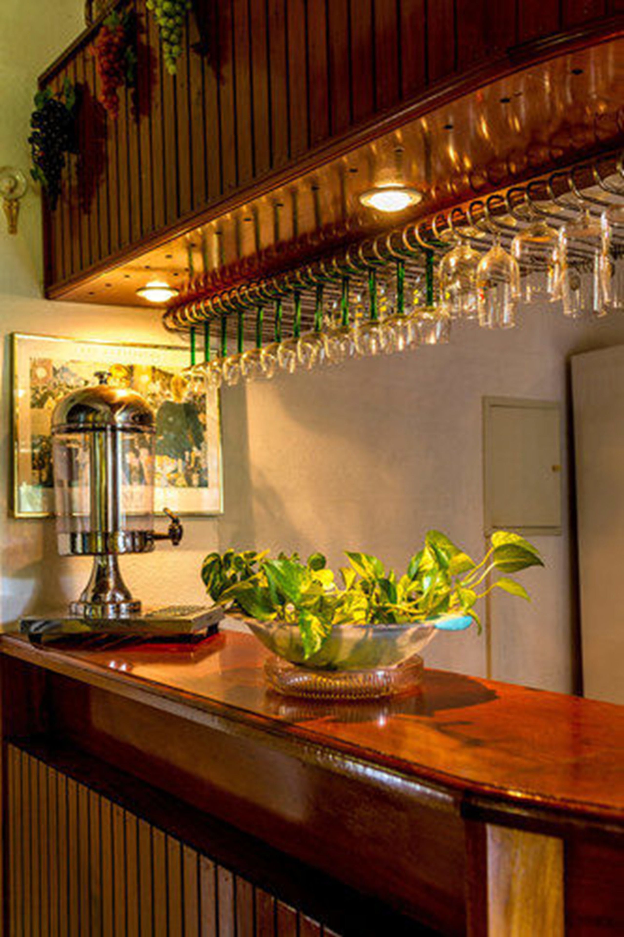 Una zona de bar con una máquina de café espresso antigua, un bol de plantas verdes y una estantería para vinos con copas.