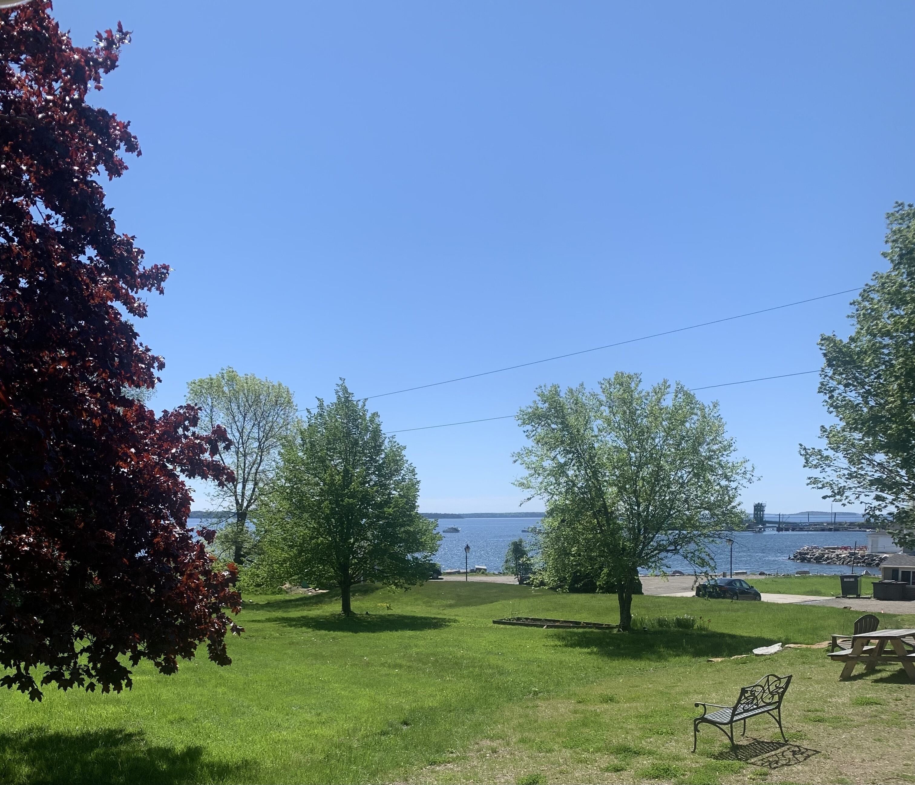 A grassy park area with trees and a bench.