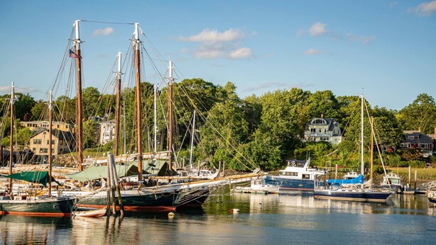 A marina with several boats docked, surrounded by lush greenery and residential buildings. - Harkness Brook Inn (Rockport)