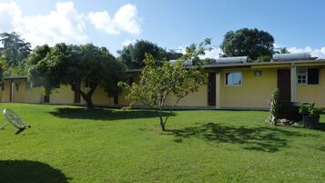 Stunning building with a flat roof, set amidst a well-manicured lawn and shaded by trees.