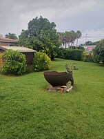 标准房 | 客房景观