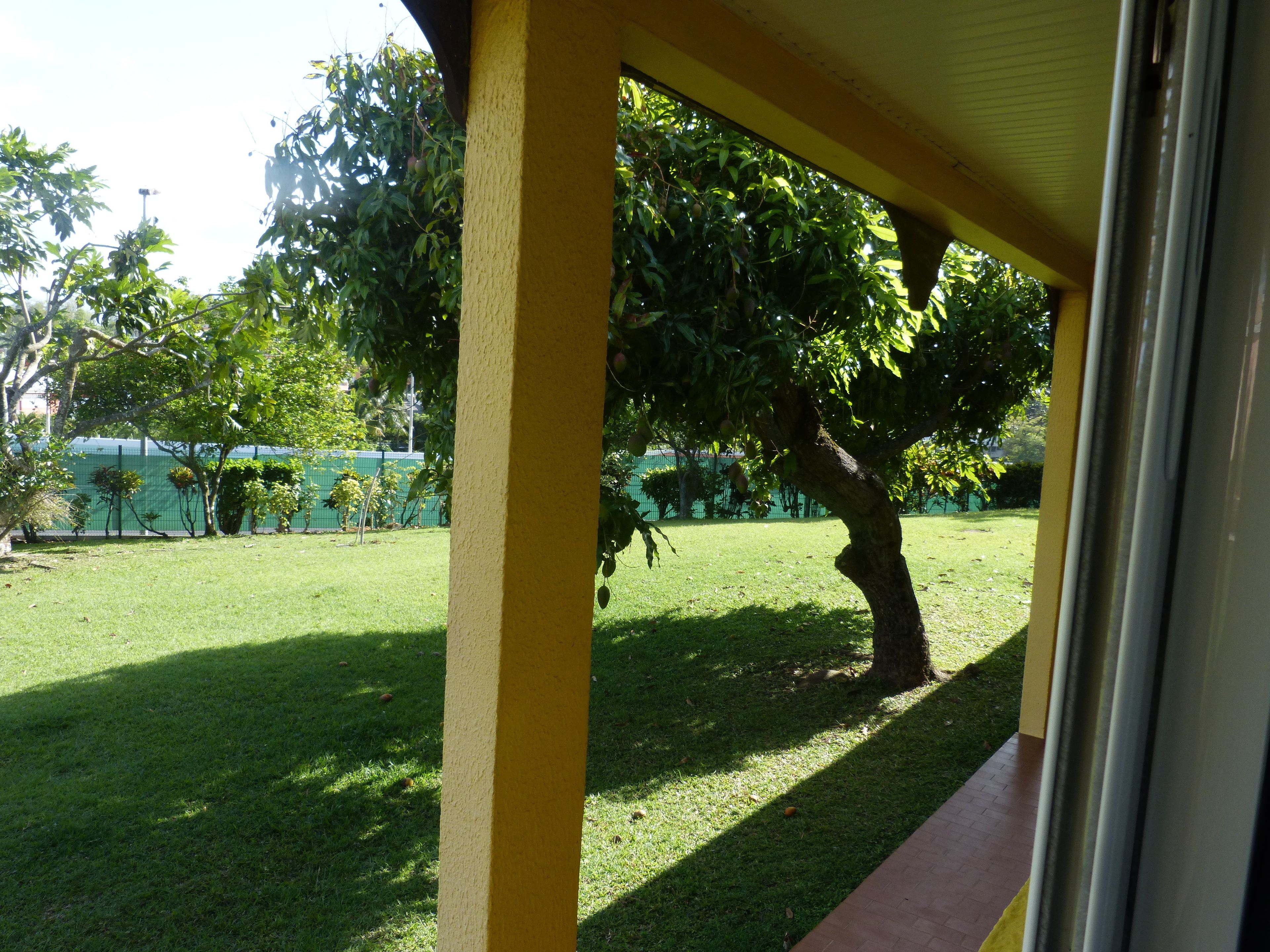 Vista de un césped verde con un árbol y una estructura amarilla.