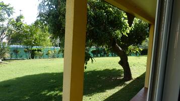 Vista de un césped verde con un árbol y una estructura amarilla.