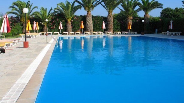 Une piscine entourée de palmiers, avec des chaises longues et des parasols.