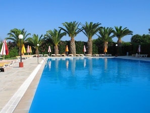 A swimming pool with lounge chairs and umbrellas, surrounded by palm trees.