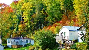 Un quartier résidentiel composé de deux maisons, entouré d’une forêt dense.