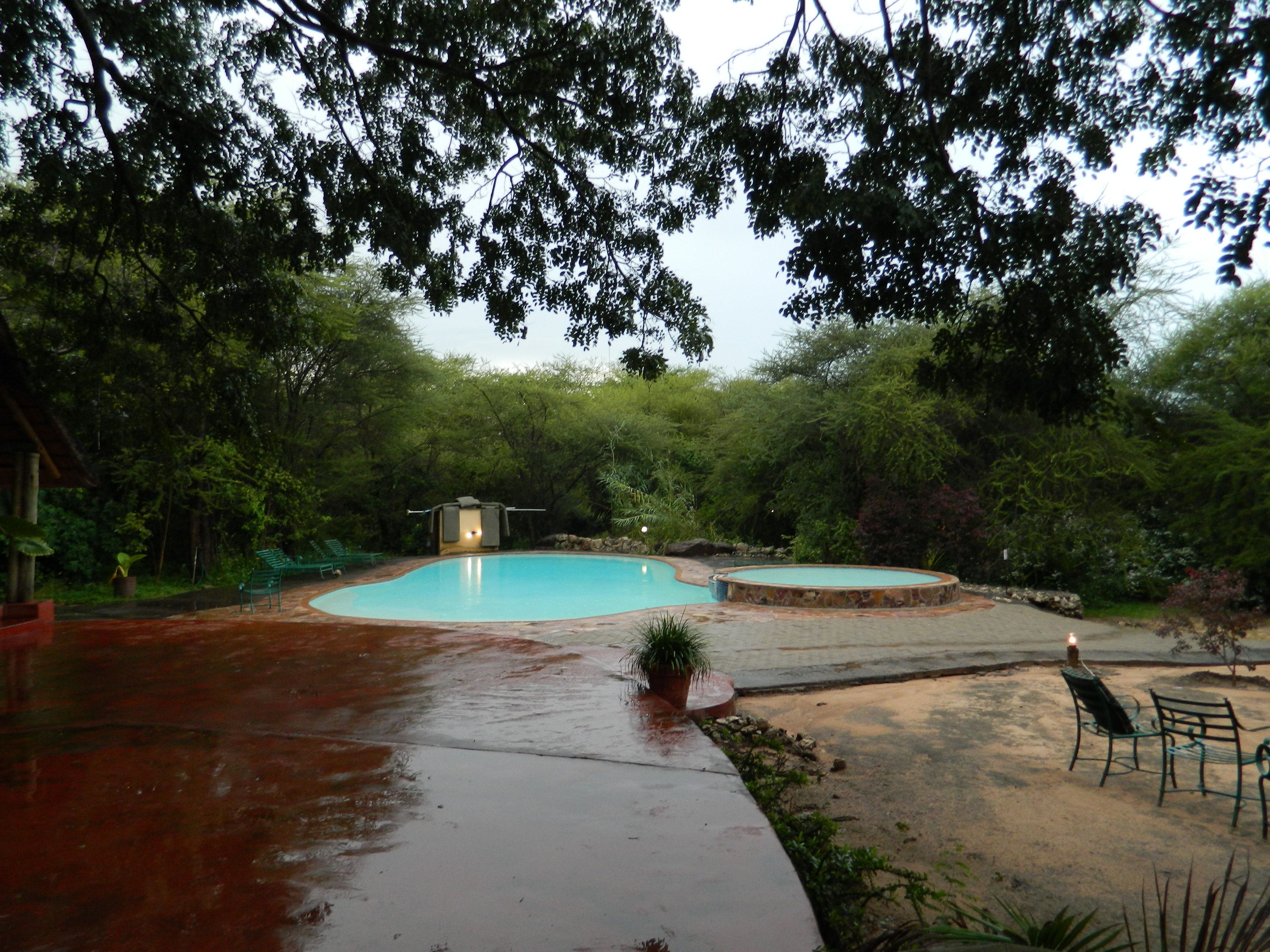 Una piscina con una pequeña zona de terraza, rodeada de abundante vegetación y árboles.