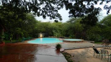Una piscina con una pequeña zona de terraza, rodeada de abundante vegetación y árboles.