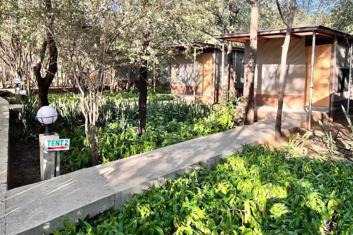 A pathway leading to a building with a sign indicating "Tent 2".