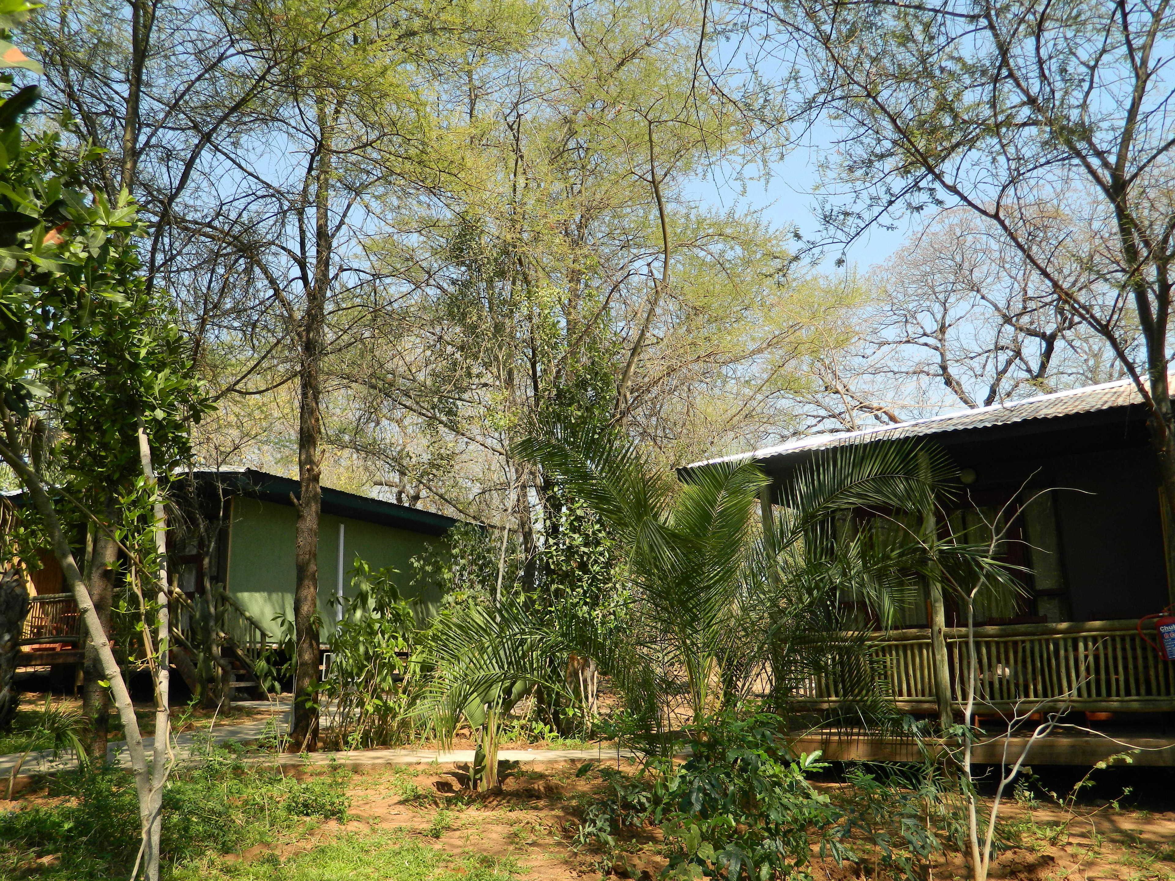 Un espace extérieur rustique agrémenté d’une terrasse en bois, d’un petit étang et de diverses espèces d’arbres et d’arbustes.