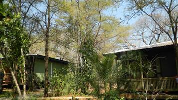 Un espace extérieur rustique agrémenté d’une terrasse en bois, d’un petit étang et de diverses espèces d’arbres et d’arbustes.