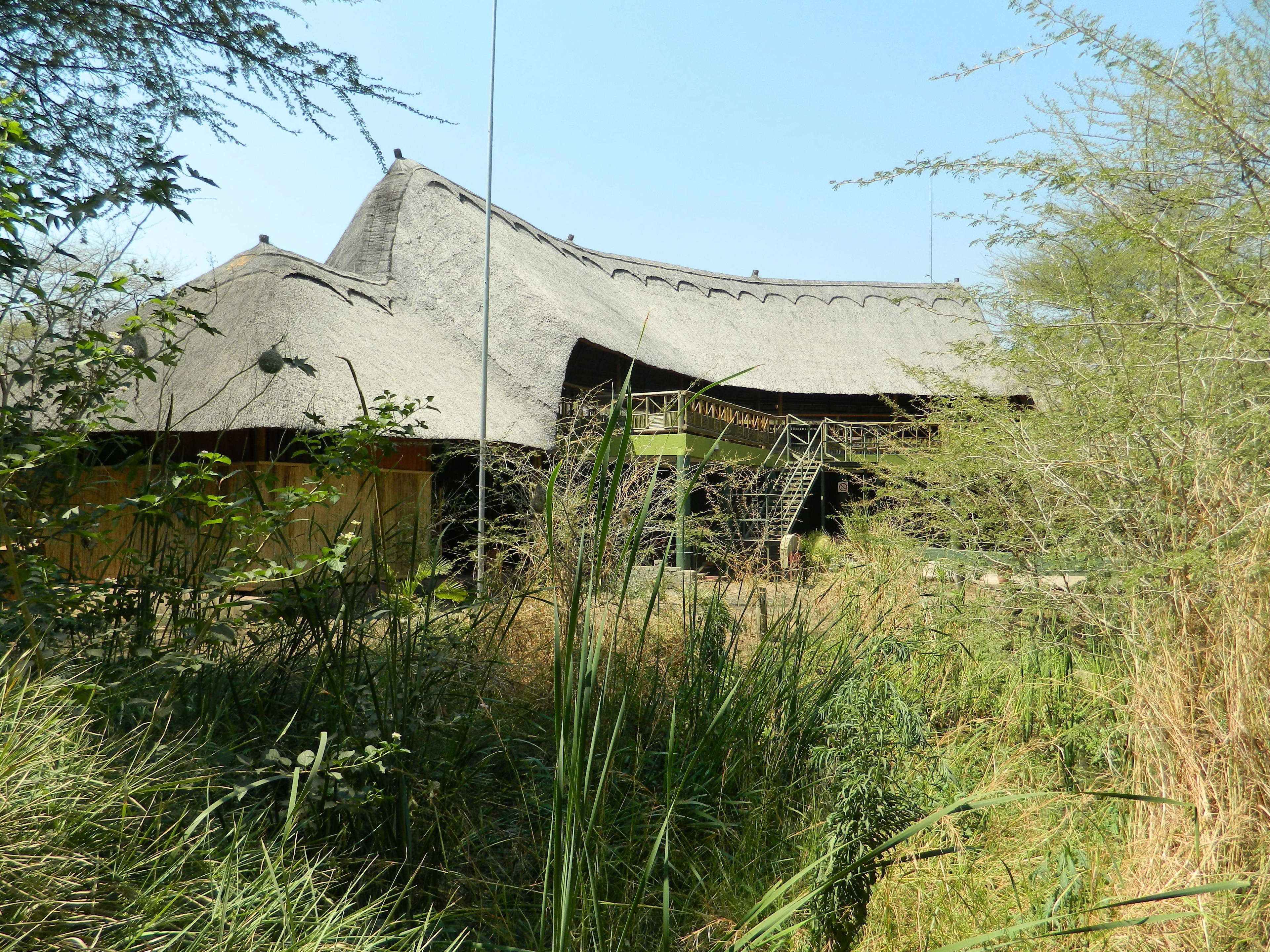 A traditional thatched-roof building surrounded by dense vegetation.