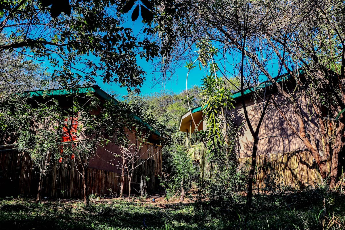 A rustic building with a green roof, surrounded by dense foliage and trees.