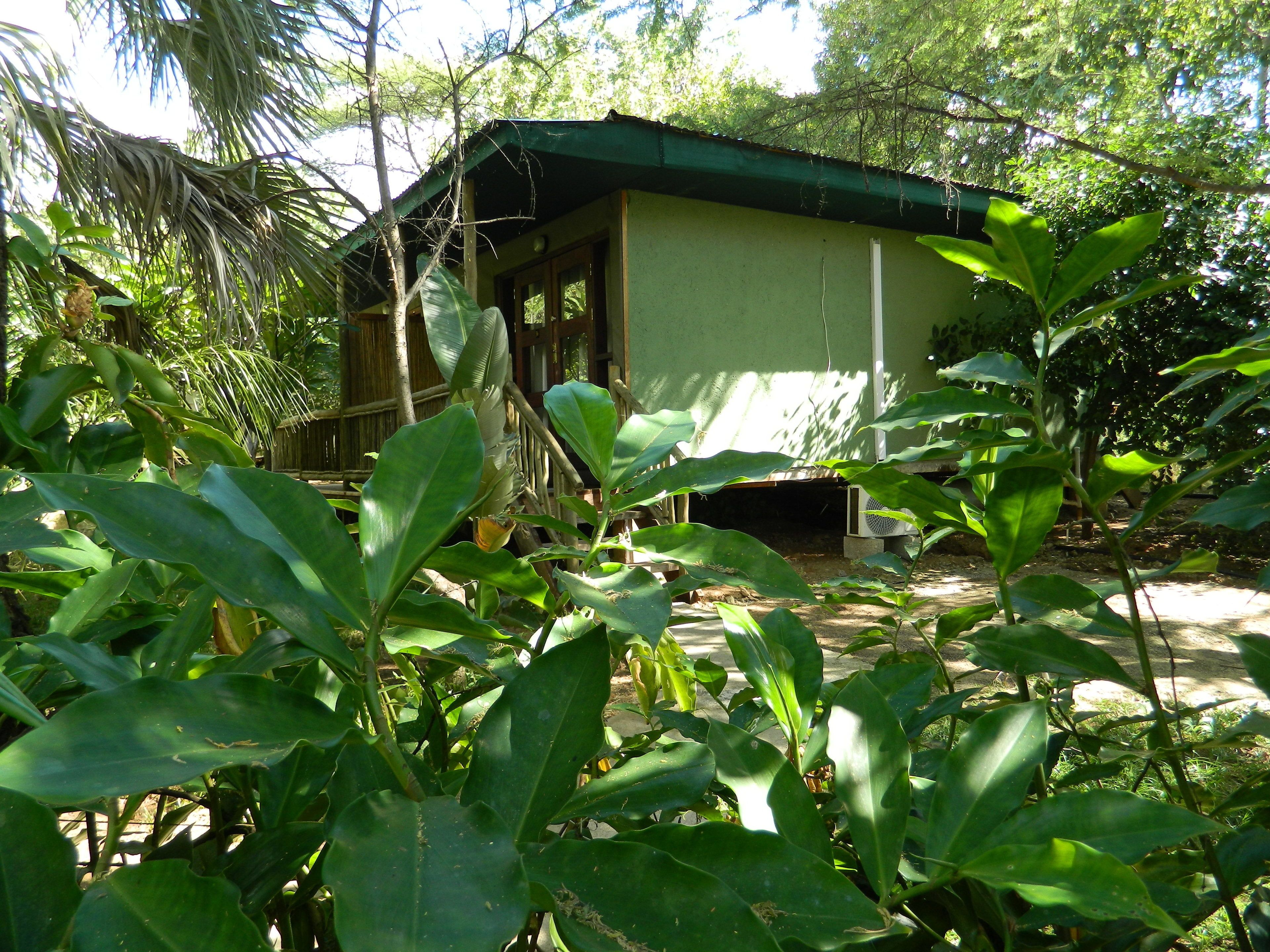 A house surrounded by lush greenery, with a visible porch and a window.