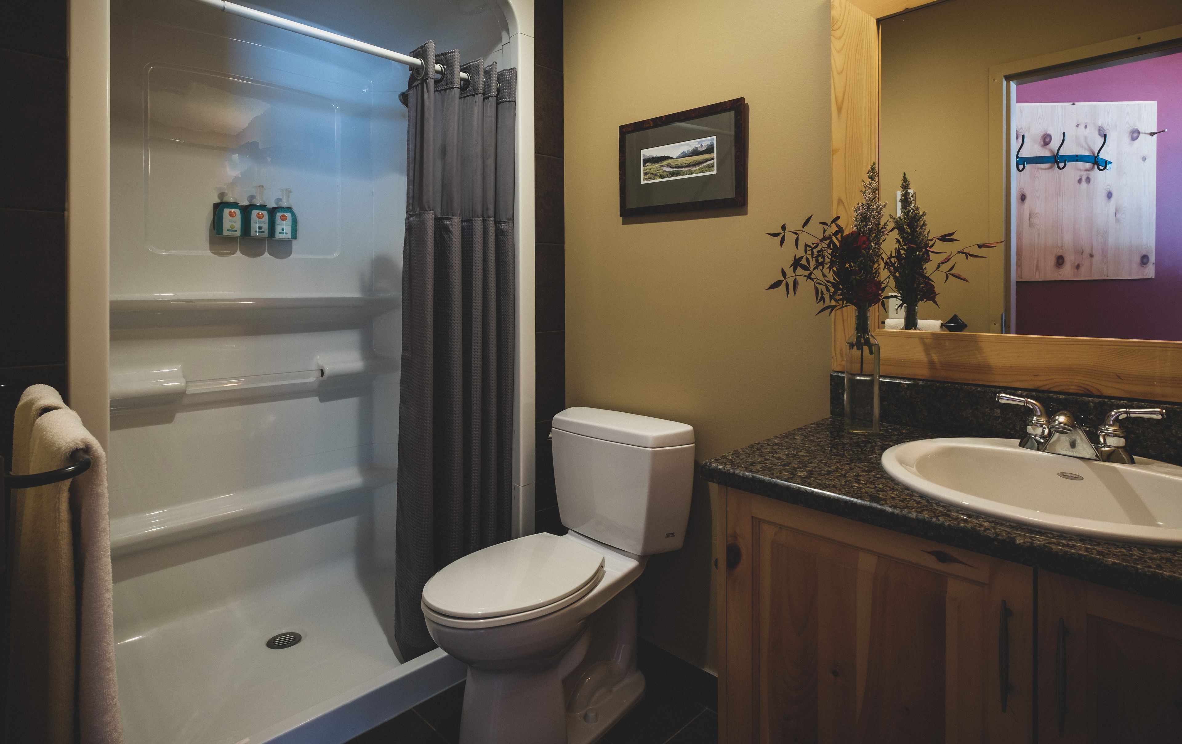 shower, free toiletries, slippers, towels