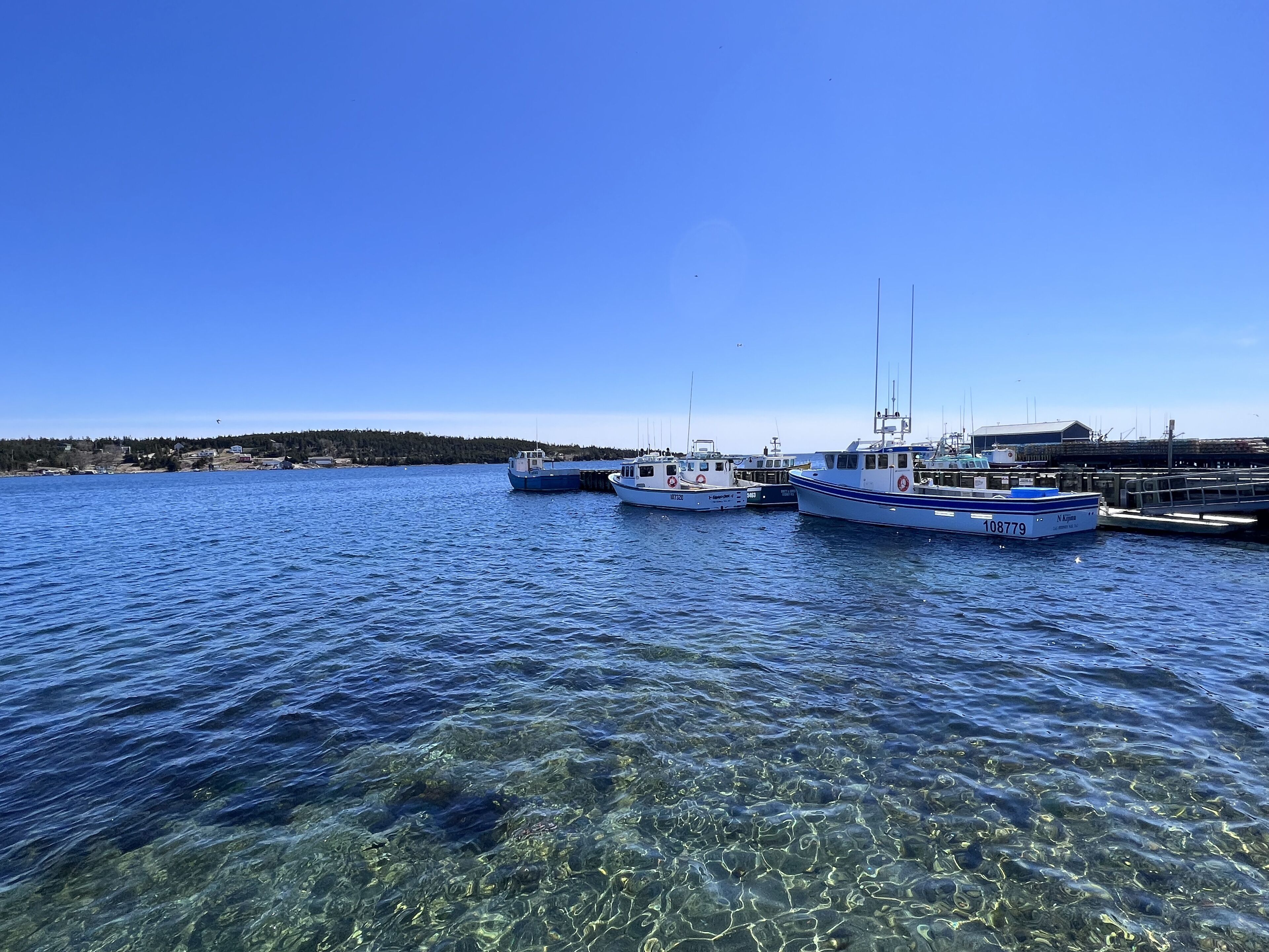 A marina with several boats docked.