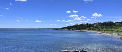 A coastal landscape with a clear blue sky, rocky shoreline, and a forested area in the background.